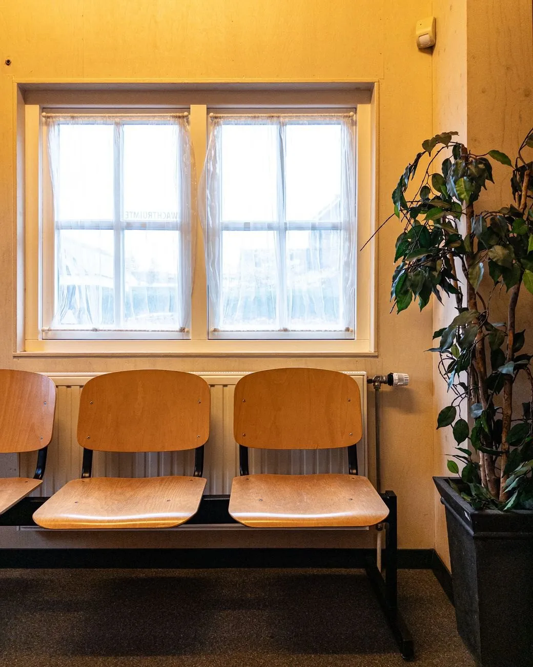 Three wooden chairs under a bright window with sheer curtains in a warm, quiet waiting area